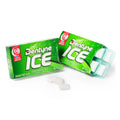 Dentyne Ice Sugar Free Gum Packets - Spearmint: 9-Piece Box