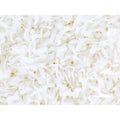 Mounds Sweetened White Coconut Flakes: 14-Ounce Bag